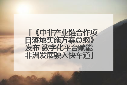 《中非产业链合作项目落地实施方案总纲》发布 数字化平台赋能非洲发展驶入快车道