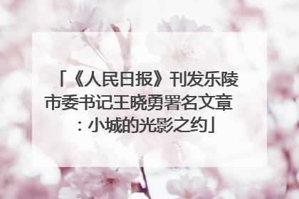 《人民日报》刊发乐陵市委书记王晓勇署名文章：小城的光影之约