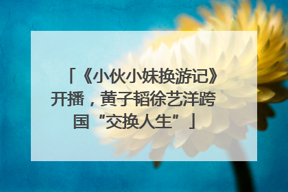 《小伙小妹换游记》开播，黄子韬徐艺洋跨国“交换人生”