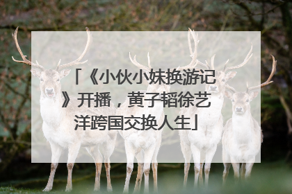 《小伙小妹换游记》开播，黄子韬徐艺洋跨国交换人生