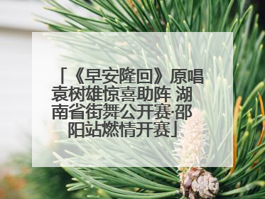 《早安隆回》原唱袁树雄惊喜助阵 湖南省街舞公开赛·邵阳站燃情开赛