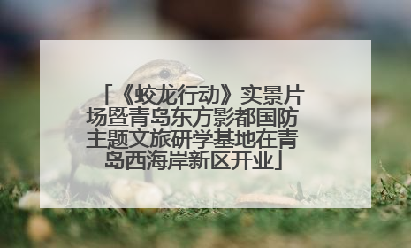 《蛟龙行动》实景片场暨青岛东方影都国防主题文旅研学基地在青岛西海岸新区开业