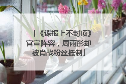 《谍报上不封顶》官宣阵容，周雨彤却被肖战粉丝抵制