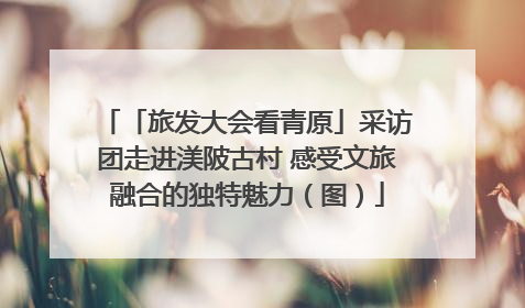 「旅发大会看青原」采访团走进渼陂古村 感受文旅融合的独特魅力（图）