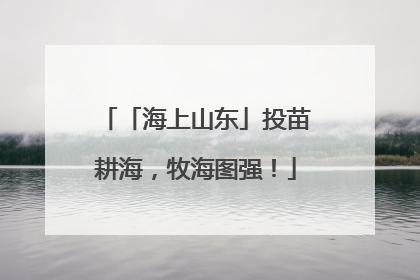 「海上山东」投苗耕海，牧海图强！