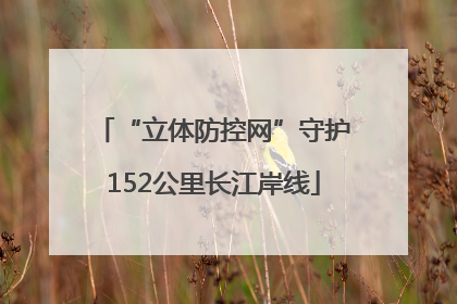 “立体防控网”守护152公里长江岸线