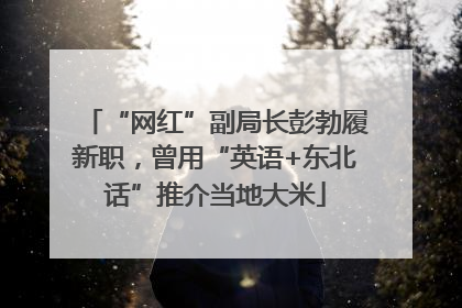 “网红”副局长彭勃履新职，曾用“英语+东北话”推介当地大米