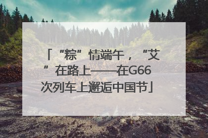 “粽”情端午，“艾”在路上——在G66次列车上邂逅中国节