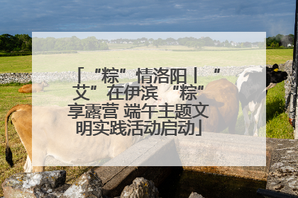 “粽”情洛阳丨“艾”在伊滨 “粽”享露营 端午主题文明实践活动启动