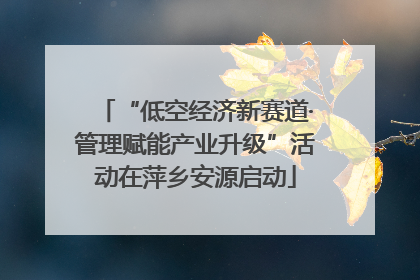 “低空经济新赛道·管理赋能产业升级”活动在萍乡安源启动