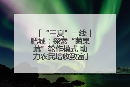 “三夏”一线丨肥城：探索“菌果蔬”轮作模式 助力农民增收致富