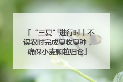 “三夏”进行时丨不误农时完成夏收夏种，确保小麦颗粒归仓