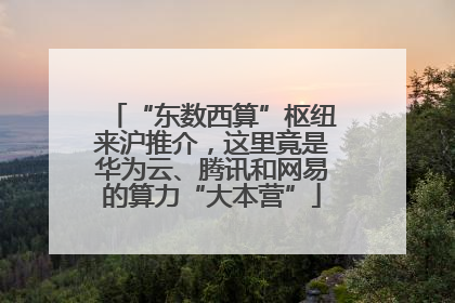 “东数西算”枢纽来沪推介，这里竟是华为云、腾讯和网易的算力“大本营”
