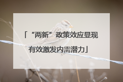 “两新”政策效应显现 有效激发内需潜力