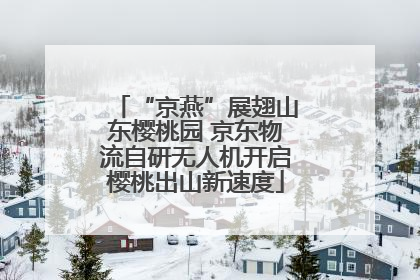 “京燕”展翅山东樱桃园 京东物流自研无人机开启樱桃出山新速度