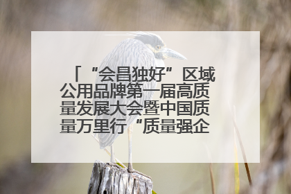 “会昌独好”区域公用品牌第一届高质量发展大会暨中国质量万里行“质量强企•质品行动”进会昌启动仪式成功举办