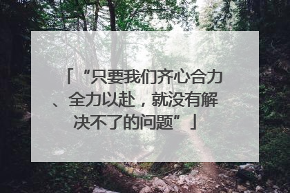 “只要我们齐心合力、全力以赴，就没有解决不了的问题”