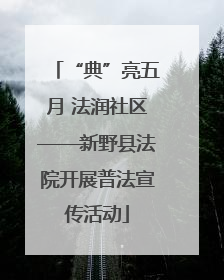 “典”亮五月 法润社区——新野县法院开展普法宣传活动