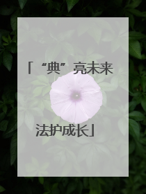 “典”亮未来 法护成长