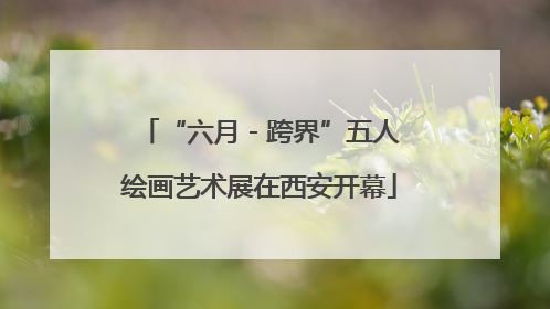 “六月 - 跨界”五人绘画艺术展在西安开幕