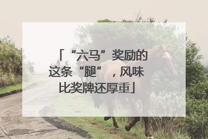 “六马”奖励的这条“腿”，风味比奖牌还厚重