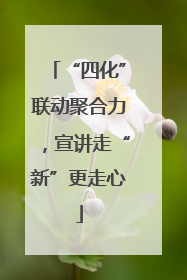 “四化”联动聚合力，宣讲走“新”更走心