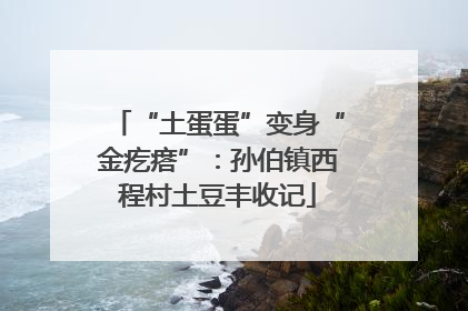 “土蛋蛋”变身“金疙瘩”：孙伯镇西程村土豆丰收记