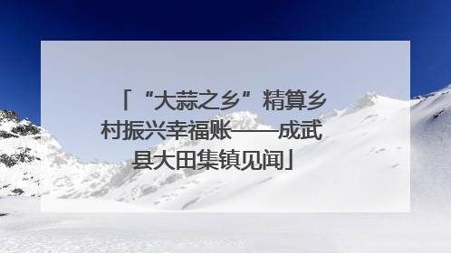 “大蒜之乡”精算乡村振兴幸福账——成武县大田集镇见闻