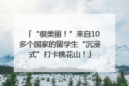 “很美丽！”来自10多个国家的留学生“沉浸式”打卡桃花山！