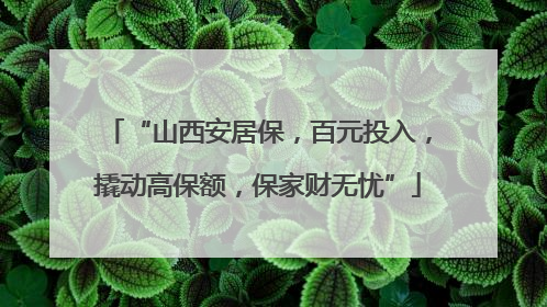 “山西安居保，百元投入，撬动高保额，保家财无忧”