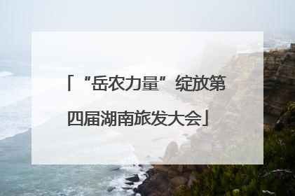 “岳农力量”绽放第四届湖南旅发大会