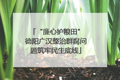 “廉心护粮田” 德阳广汉整治群腐问题筑牢民生底线