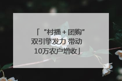 “村播＋团购”双引擎发力 带动10万农户增收