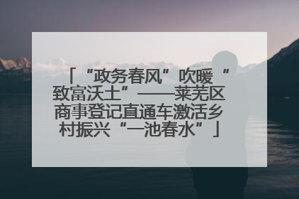 “政务春风”吹暖“致富沃土”——莱芜区商事登记直通车激活乡村振兴“一池春水”