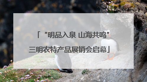 “明品入泉 山海共鸣”三明农特产品展销会启幕