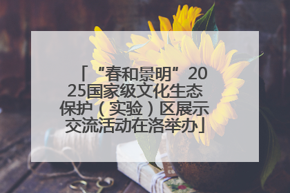 “春和景明”2025国家级文化生态保护（实验）区展示交流活动在洛举办