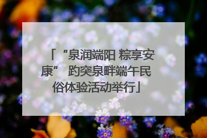 “泉润端阳 粽享安康” 趵突泉畔端午民俗体验活动举行