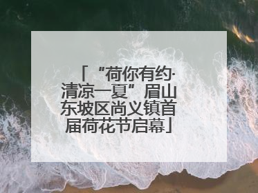 “荷你有约·清凉一夏”眉山东坡区尚义镇首届荷花节启幕