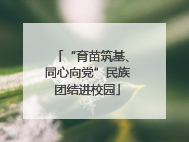 “育苗筑基、同心向党”民族团结进校园