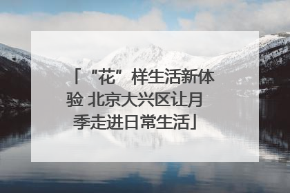 “花”样生活新体验 北京大兴区让月季走进日常生活