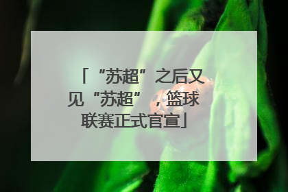“苏超”之后又见“苏超”，篮球联赛正式官宣