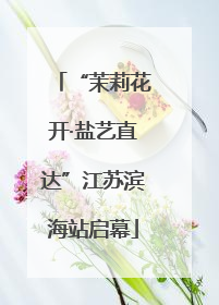 “茉莉花开·盐艺直达”江苏滨海站启幕
