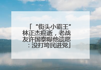 “街头小霸王”林正杰癌逝，老战友许国泰曝他遗愿：没打垮民进党