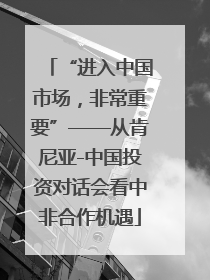 “进入中国市场，非常重要”——从肯尼亚-中国投资对话会看中非合作机遇