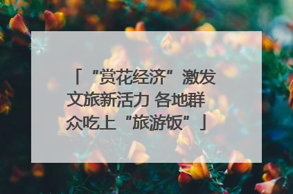 “赏花经济”激发文旅新活力 各地群众吃上“旅游饭”