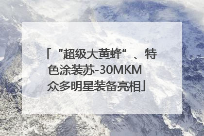 “超级大黄蜂”、特色涂装苏-30MKM 众多明星装备亮相