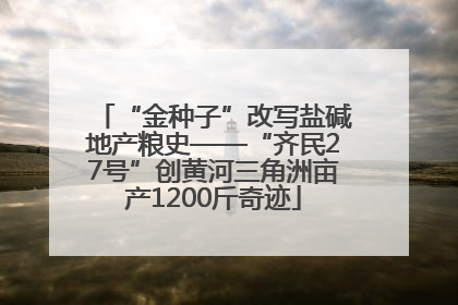 “金种子”改写盐碱地产粮史——“齐民27号”创黄河三角洲亩产1200斤奇迹
