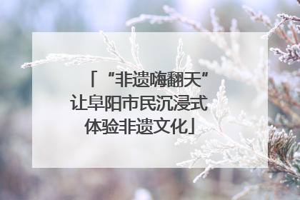 “非遗嗨翻天”让阜阳市民沉浸式体验非遗文化