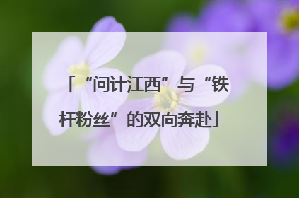 “问计江西”与“铁杆粉丝”的双向奔赴