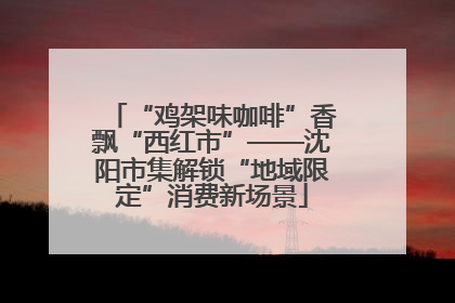 “鸡架味咖啡”香飘“西红市”——沈阳市集解锁“地域限定”消费新场景